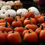 Photo Pumpkin patch